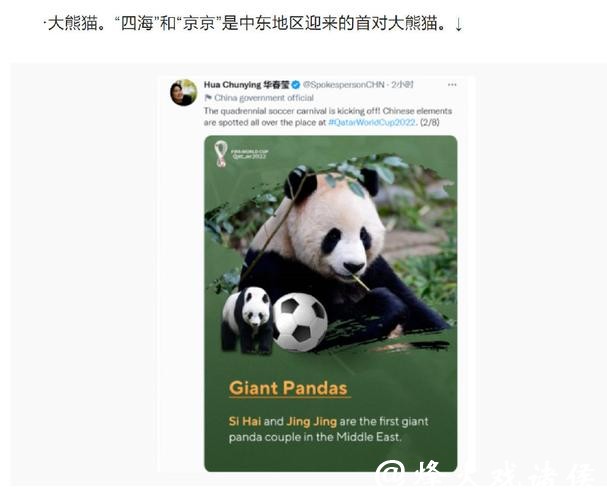 全面盘点世界杯买球平台推荐榜单精选 全面盘点世界杯买球平台推荐榜单精选